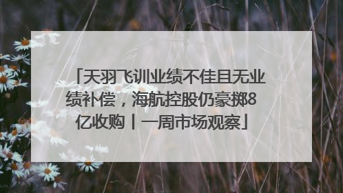 天羽飞训业绩不佳且无业绩补偿，海航控股仍豪掷8亿收购丨一周市场观察
