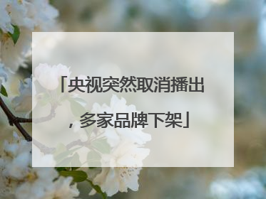 央视突然取消播出，多家品牌下架