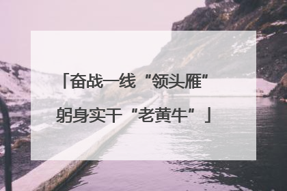 奋战一线“领头雁” 躬身实干“老黄牛”