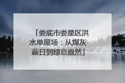 娄底市娄星区洪水单屋场：从煤灰蔽日到绿意盎然