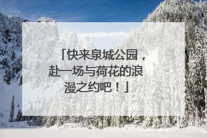 快来泉城公园，赴一场与荷花的浪漫之约吧！