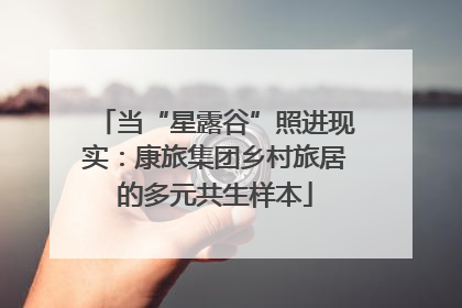 当“星露谷”照进现实：康旅集团乡村旅居的多元共生样本