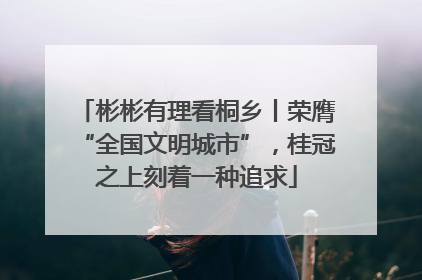 彬彬有理看桐乡丨荣膺“全国文明城市”，桂冠之上刻着一种追求