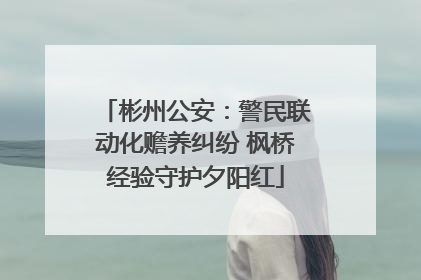 彬州公安：警民联动化赡养纠纷 枫桥经验守护夕阳红