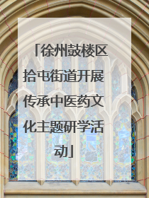 徐州鼓楼区拾屯街道开展传承中医药文化主题研学活动
