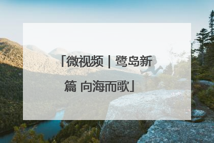 微视频｜鹭岛新篇 向海而歌