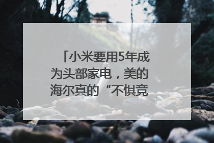 小米要用5年成为头部家电，美的海尔真的“不惧竞争”？｜热财经
