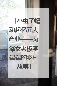 小虫子蠕动起亿元大产业——菏泽女老板李端端的乡村故事