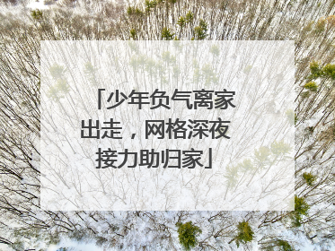 少年负气离家出走，网格深夜接力助归家