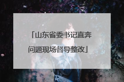 山东省委书记直奔问题现场督导整改