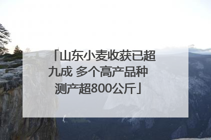 山东小麦收获已超九成 多个高产品种测产超800公斤