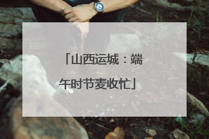 山西运城：端午时节麦收忙