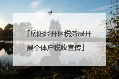 岳阳经开区税务局开展个体户税收宣传