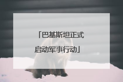 巴基斯坦正式启动军事行动