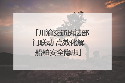 川渝交通执法部门联动 高效化解船舶安全隐患