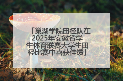 巢湖学院田径队在2025年安徽省学生体育联赛大学生田径比赛中喜获佳绩