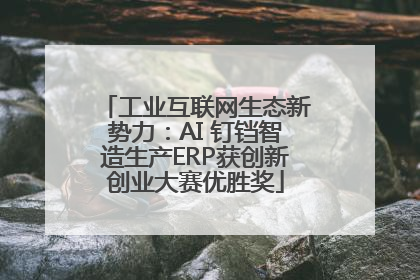 工业互联网生态新势力：AI 钉铛智造生产ERP获创新创业大赛优胜奖