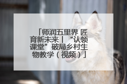 师润五里界 匠育新未来丨“认领课堂”破局乡村生物教学（视频）
