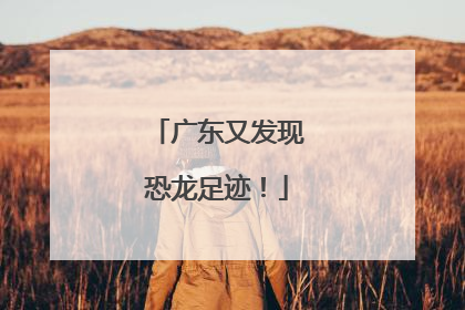 广东又发现恐龙足迹！