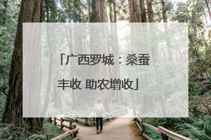 广西罗城：桑蚕丰收 助农增收