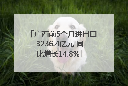 广西前5个月进出口3236.4亿元 同比增长14.8%