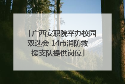 广西安职院举办校园双选会 14市消防救援支队提供岗位