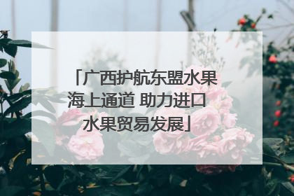 广西护航东盟水果海上通道 助力进口水果贸易发展