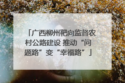 广西柳州靶向监督农村公路建设 推动“问题路”变“幸福路”