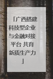 广西搭建科技型企业与金融对接平台 共育新质生产力
