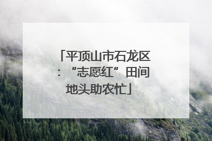 平顶山市石龙区：“志愿红”田间地头助农忙