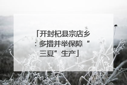 开封杞县宗店乡：多措并举保障“三夏”生产