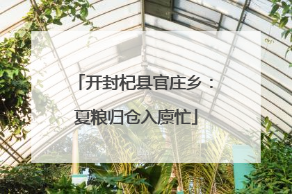 开封杞县官庄乡：夏粮归仓入廪忙