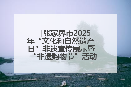 张家界市2025年“文化和自然遗产日”非遗宣传展示暨“非遗购物节”活动在慈利县盛大启幕