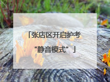 张店区开启护考“静音模式”