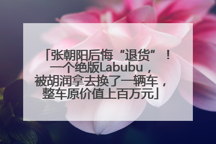张朝阳后悔“退货”！一个绝版Labubu，被胡润拿去换了一辆车，整车原价值上百万元