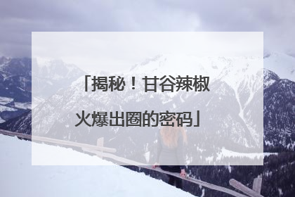 揭秘！甘谷辣椒火爆出圈的密码