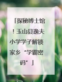 探秘博士馆！玉山县逸夫小学学子解锁家乡“学霸密码”