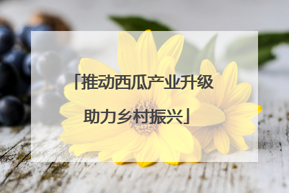 推动西瓜产业升级 助力乡村振兴