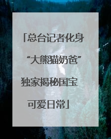 总台记者化身“大熊猫奶爸” 独家揭秘国宝可爱日常