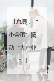 息县：“小金蛋”撬动“大产业”