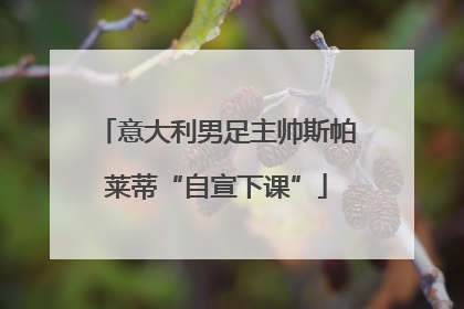 意大利男足主帅斯帕莱蒂“自宣下课”