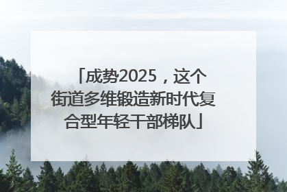 成势2025，这个街道多维锻造新时代复合型年轻干部梯队