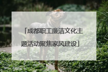 成都职工廉洁文化主题活动聚焦家风建设