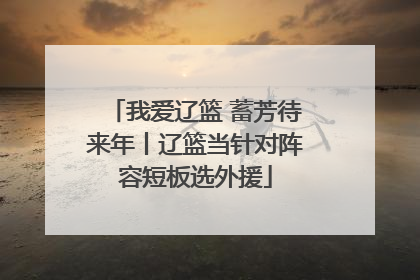 我爱辽篮 蓄芳待来年丨辽篮当针对阵容短板选外援