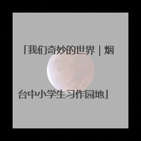 我们奇妙的世界｜烟台中小学生习作园地