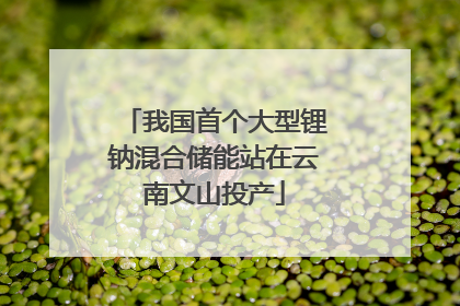 我国首个大型锂钠混合储能站在云南文山投产