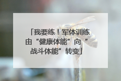 我要练！军体训练由“健康体能”向“战斗体能”转变