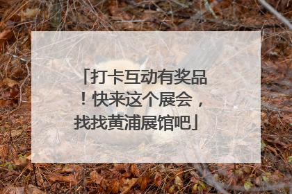 打卡互动有奖品！快来这个展会，找找黄浦展馆吧