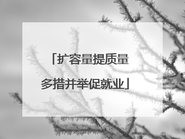 扩容量提质量 多措并举促就业