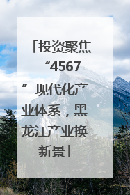 投资聚焦“4567”现代化产业体系，黑龙江产业换新景